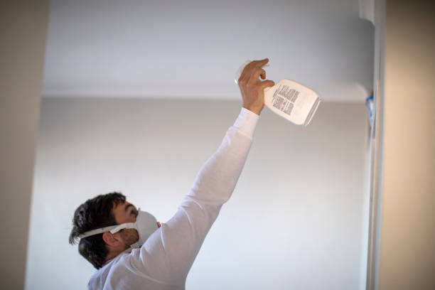 Best Mold Removal Specialists  in Prospect Heights, IL