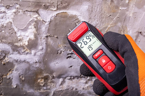 Best Mold Testing  in Prospect Heights, IL