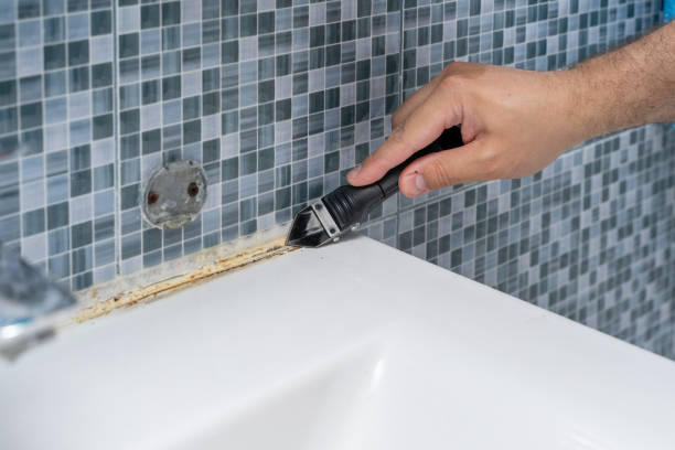 Best Mold Cleaning Services  in Prospect Heights, IL